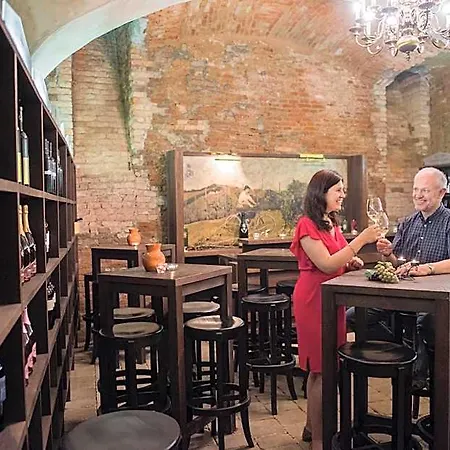 Szálloda Mitra, Story